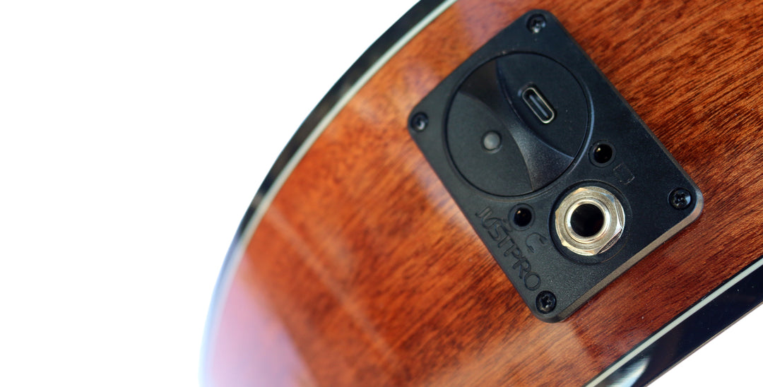 Ekolayzırlı Profesyonel Perdesiz Klasik Gitar CP-4