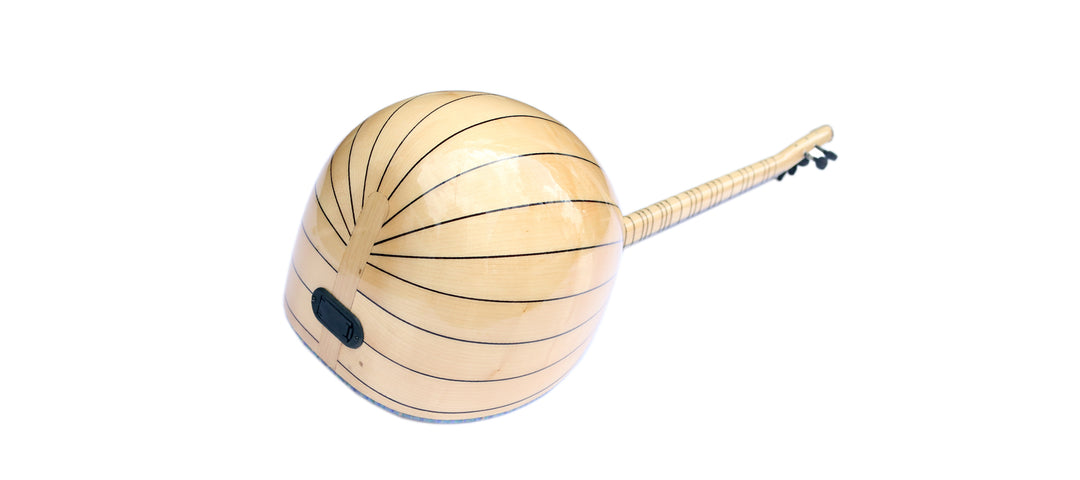 Dest electric saz baglama L2 long neck