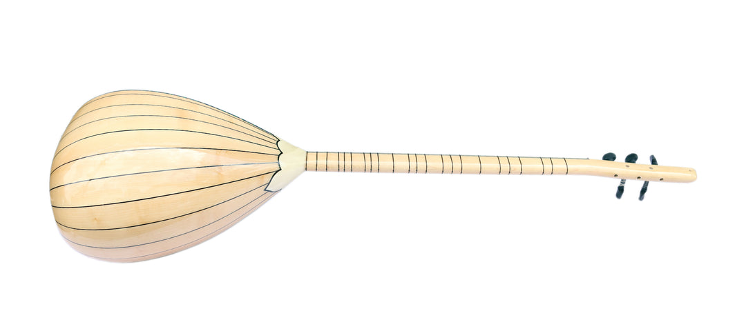 Long neck electric saz L2 by Dest