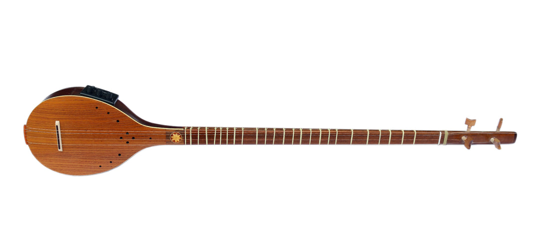 Sala electric acoustic setar ES-4 with equalizer Persian long-neck lute