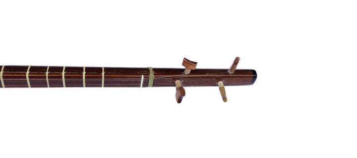 Setar ES-4 by Sala electric Persian 4-string instrument