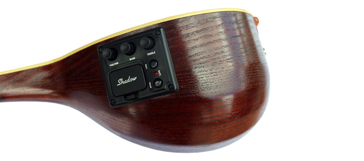 Electric setar ES-4 by Sala handcrafted Persian plucked instrument