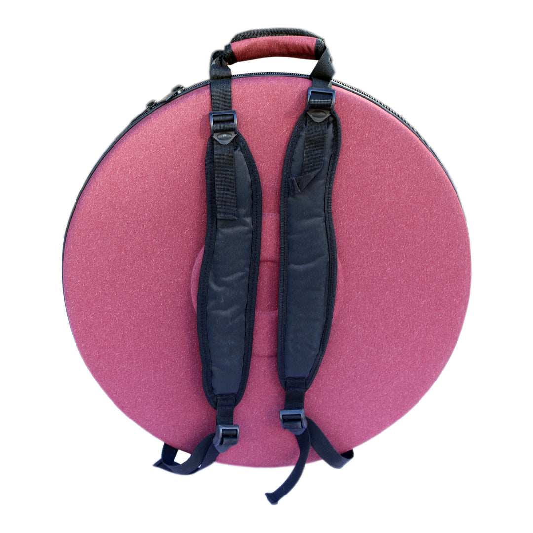 Daf hard case DH-3B by Sala with padded interior