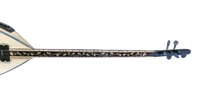 RT1 electric baglama saz with built-in rhythms by Dest