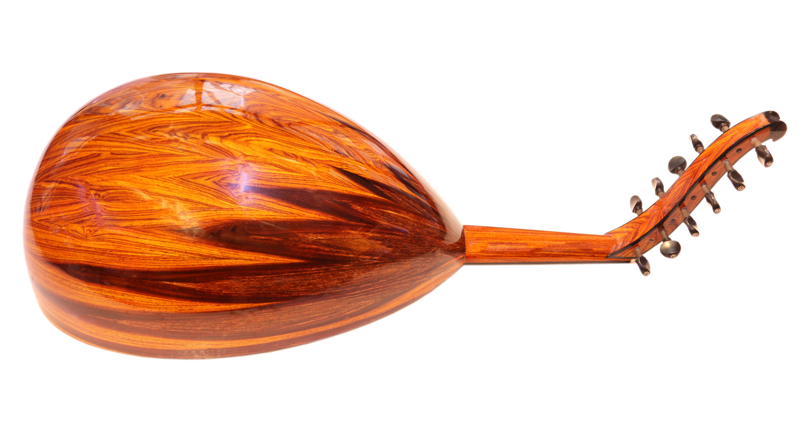 عود عربی Cocobolo Majesty با صفحه دوبل