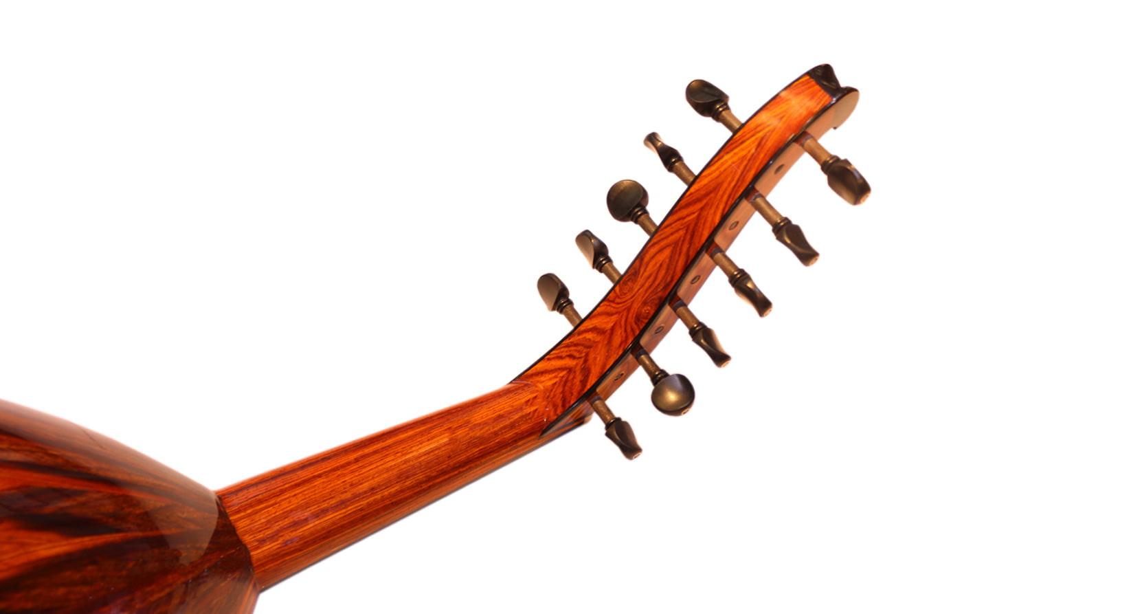 عود عربی Cocobolo Majesty از Miras Lute