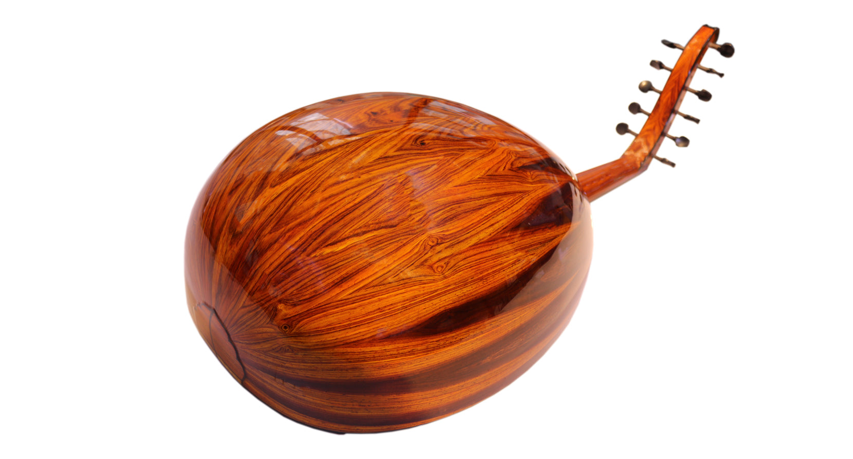 عود عربی Cocobolo Majesty با صفحه دوبل