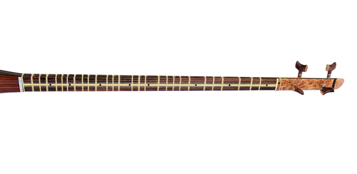 Nadali Persian setar ProSetar-27 luthier instrument mulberry body