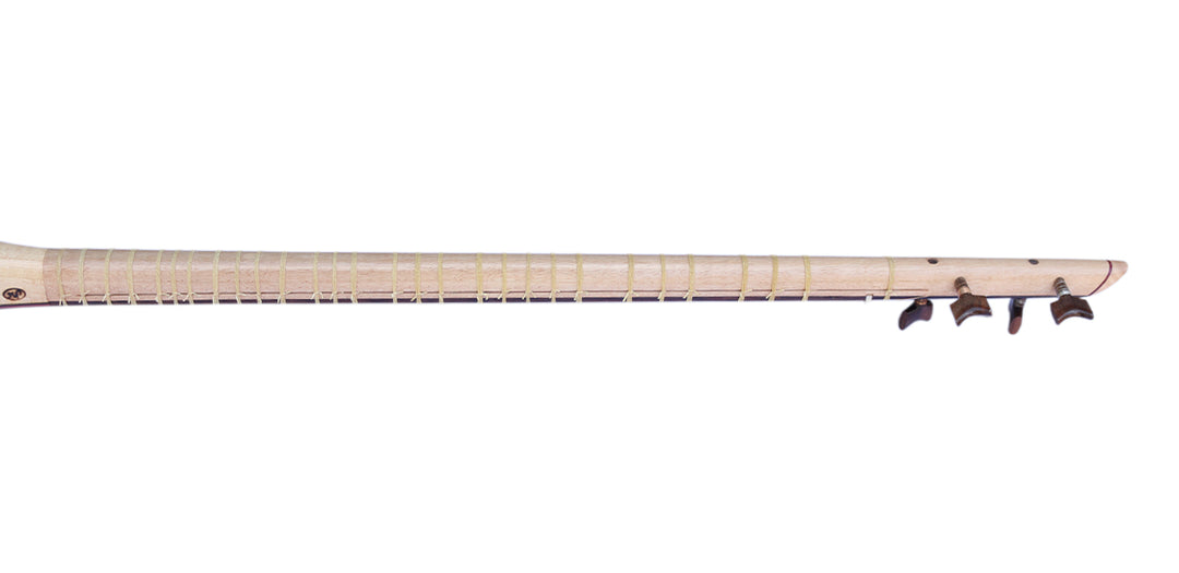 Setar ProSetar-26 by Nadali handmade Persian classical instrument