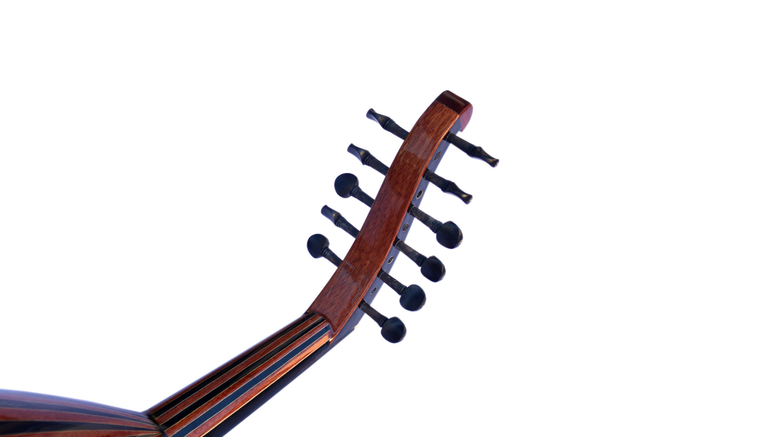 Oud turc noyer AO-109 par Sala qualité acoustique