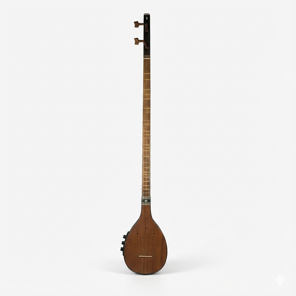 Movlana Professional Flat Electric Acoustic Setar MOS-305E