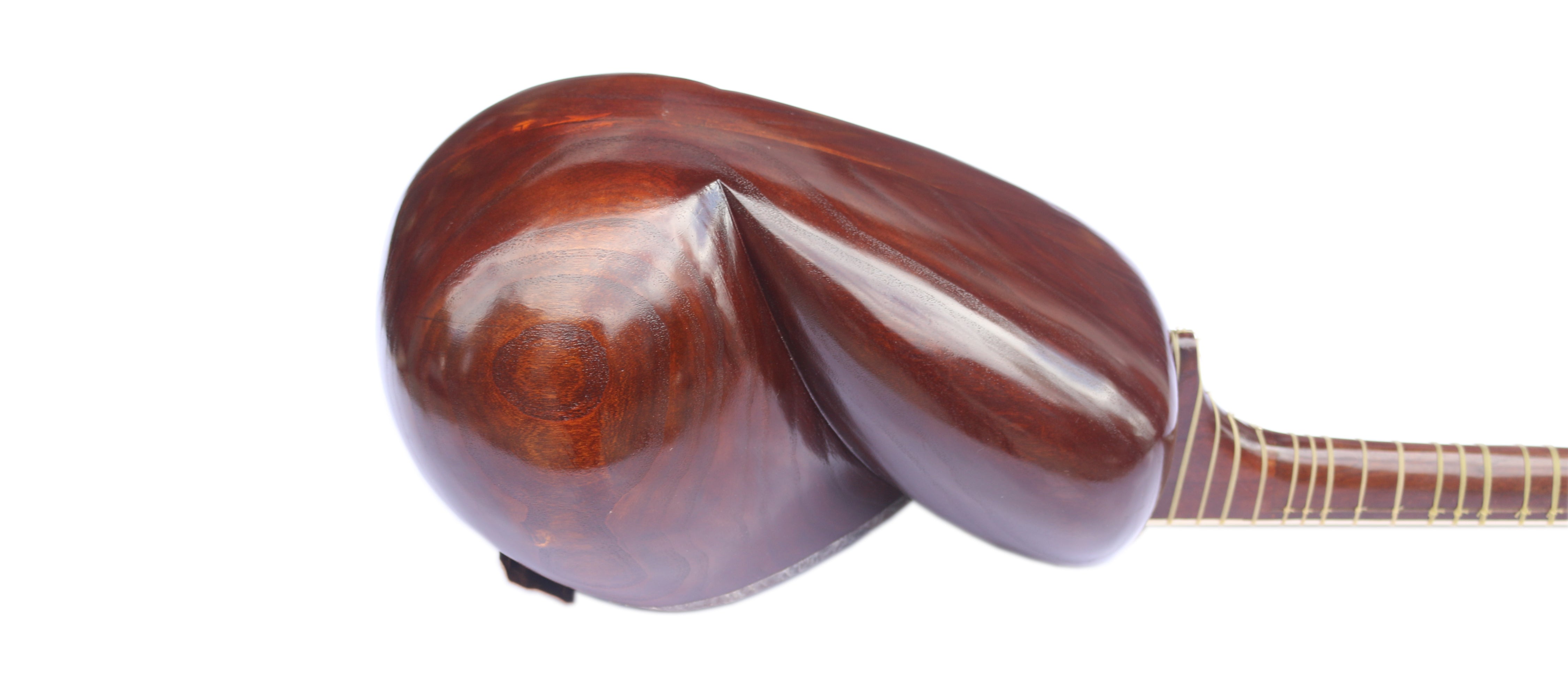 Tar en mûrier sculpté DPT-306 de Delnavaz luth persan classique