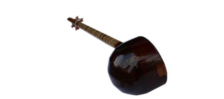 Left-handed setar NLS-301 by Nava handmade Persian lute