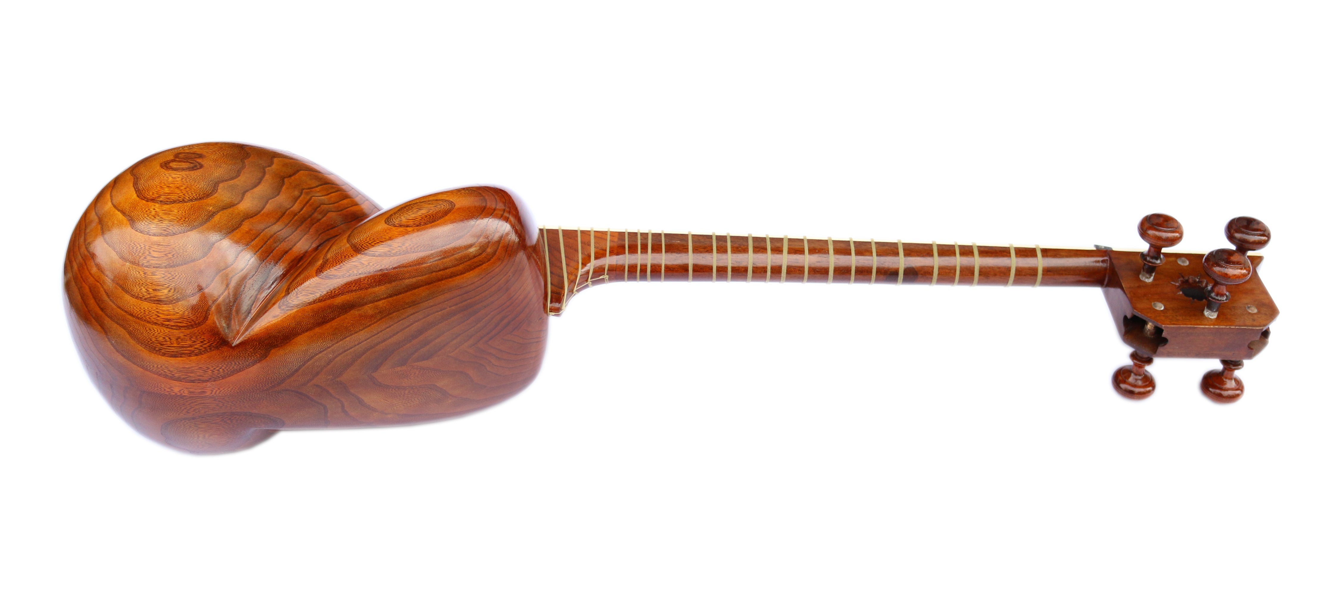 Delnavaz tar en mûrier sculpté DPT-305 instrument luthier