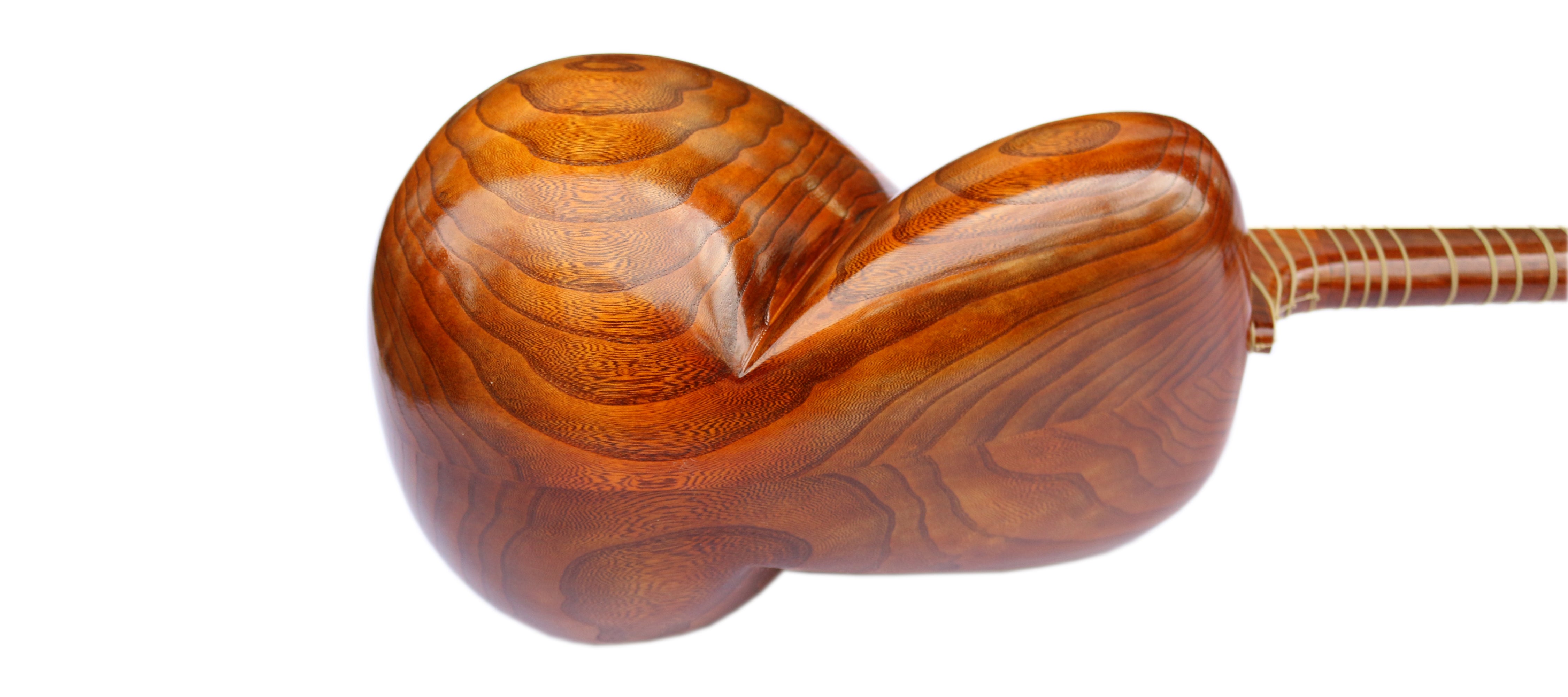 Tar en mûrier sculpté DPT-305 de Delnavaz luth persan classique