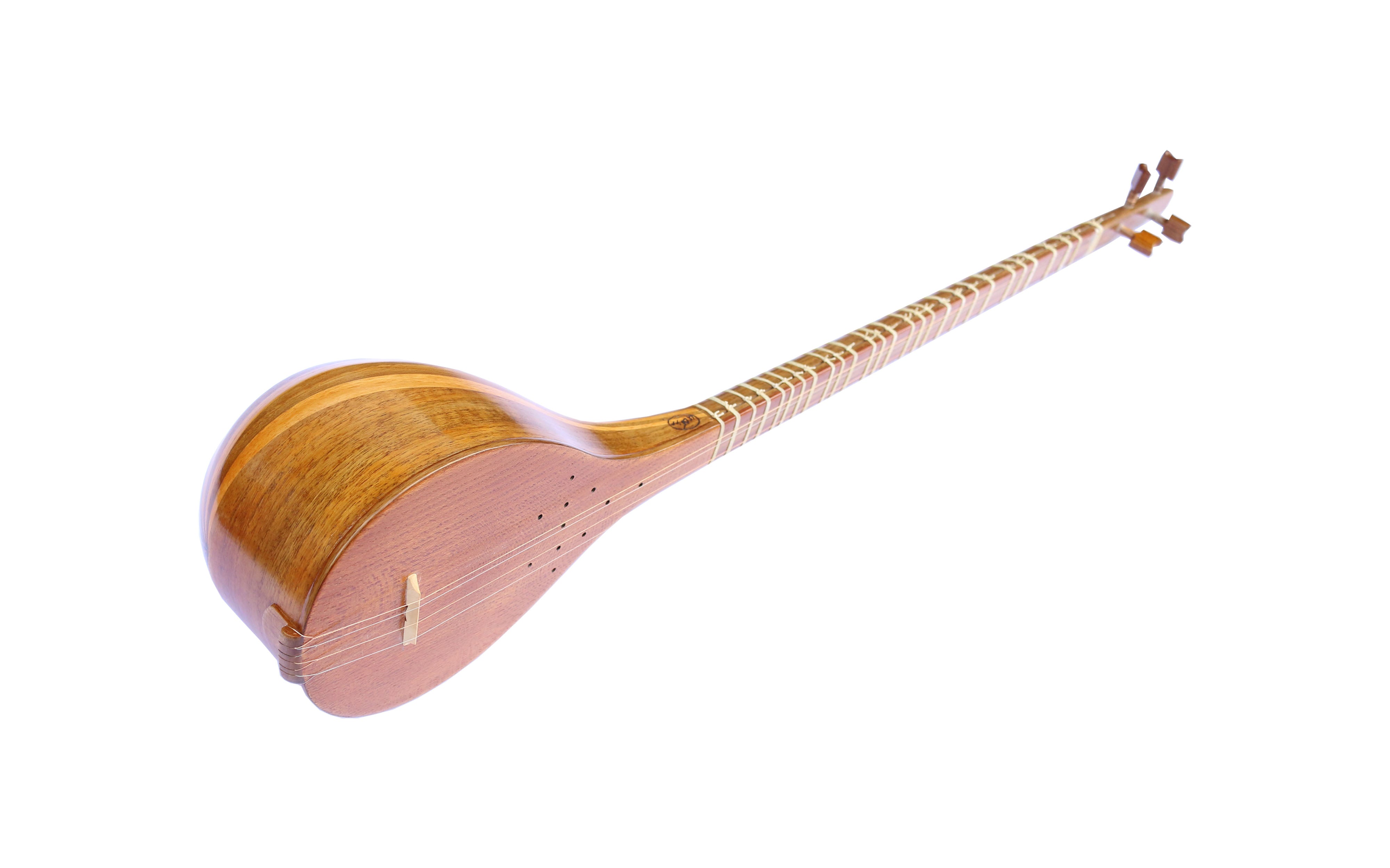 Sétar persan Fofel FS-304 instrument de luthier corps en mûrier