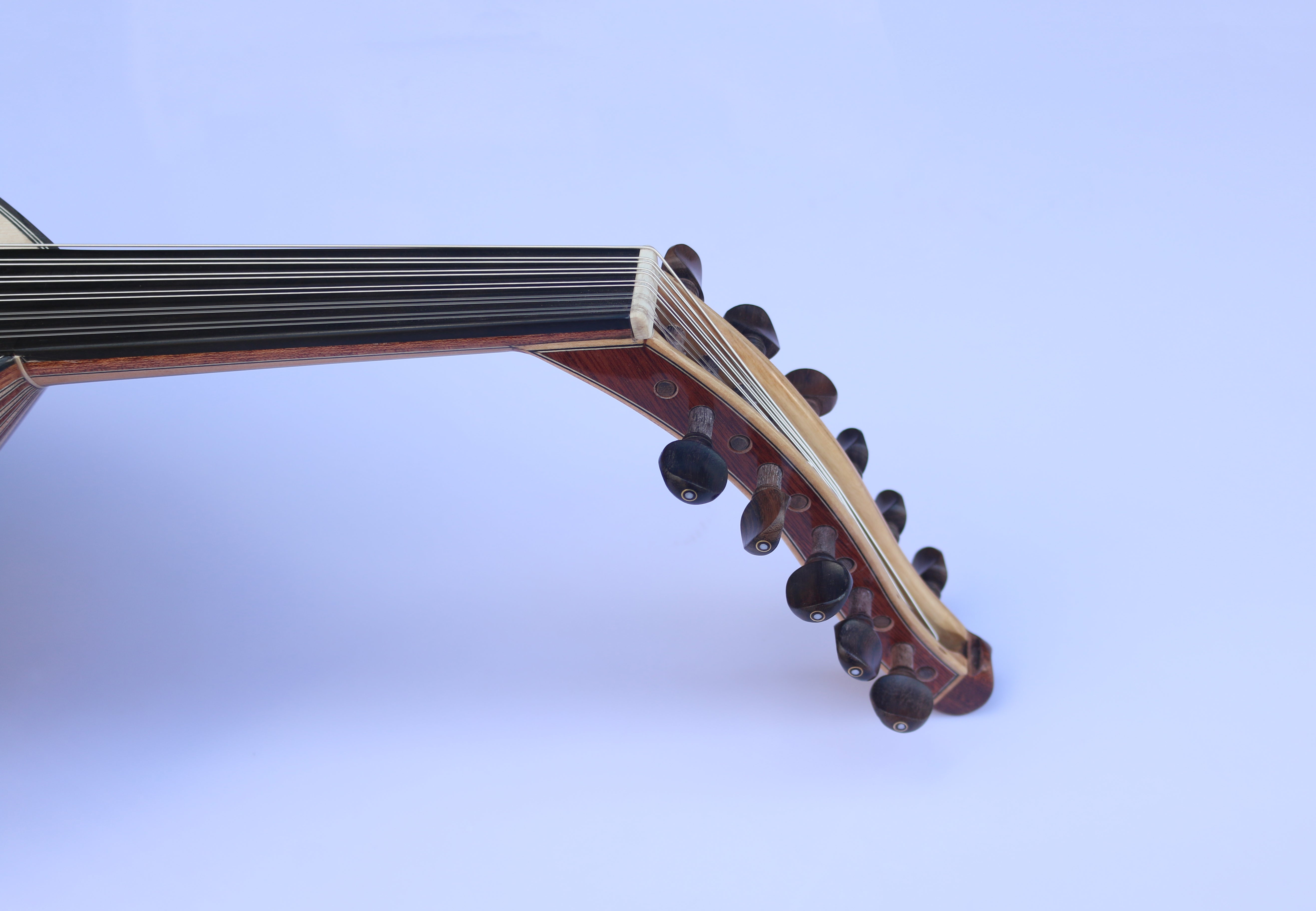Oud arabe en acajou A2 de Sala