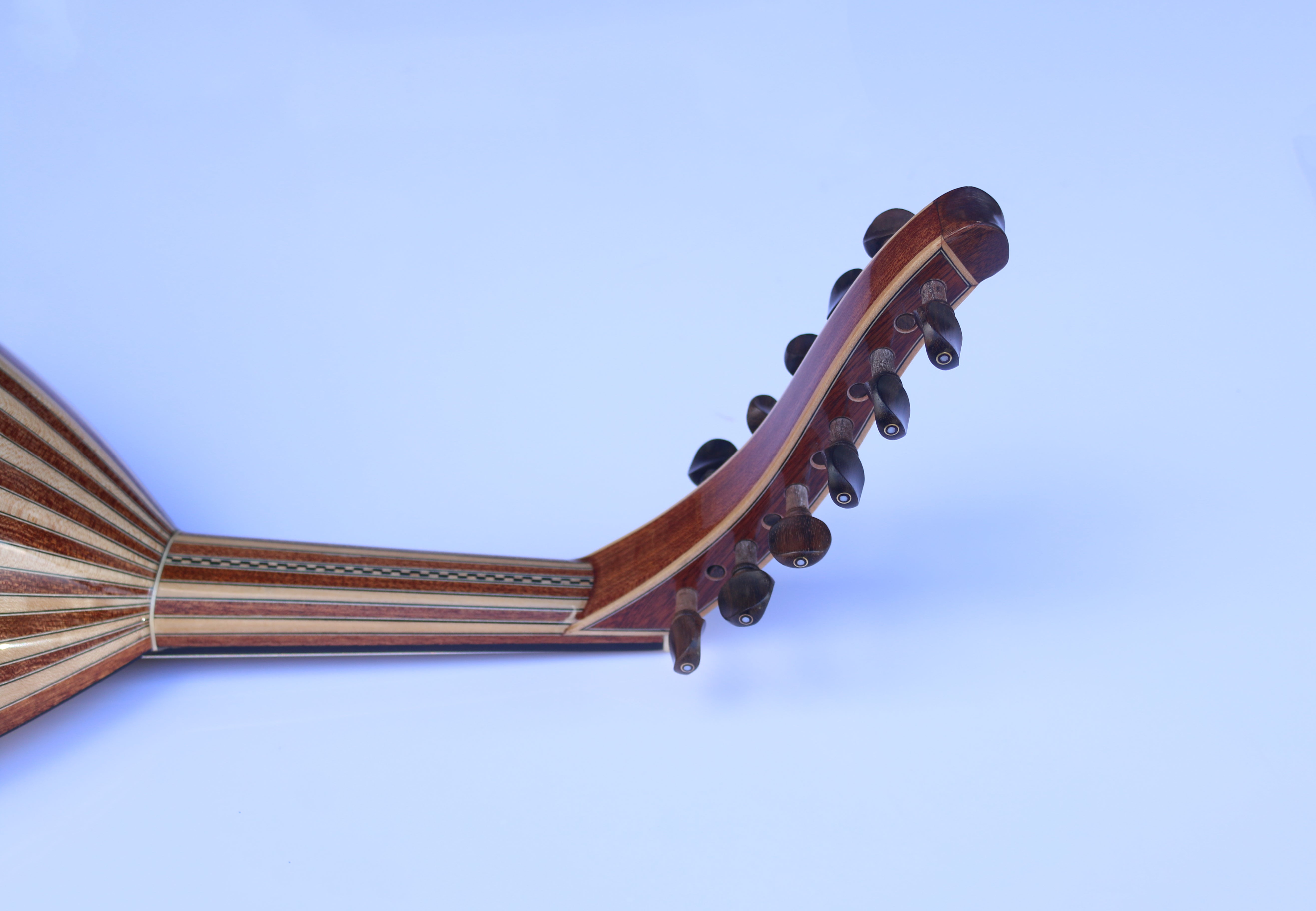 Oud arabe en acajou A2 de Sala
