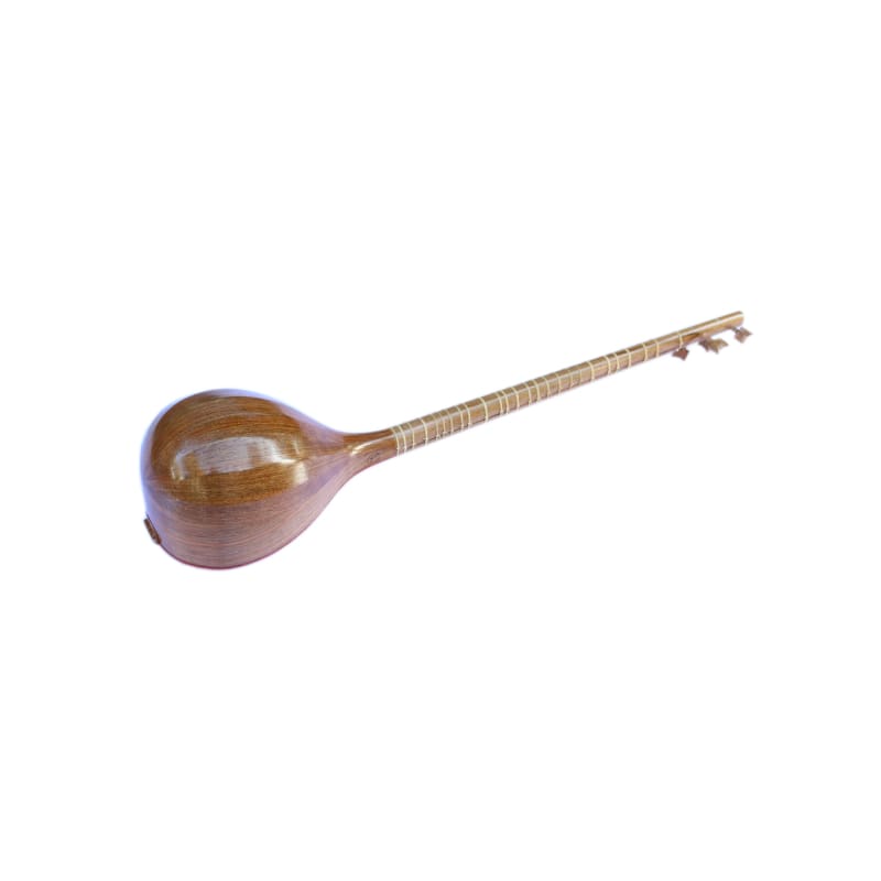 Sétar Nazari NZS-205 instrument à cordes pincées table en mûrier
