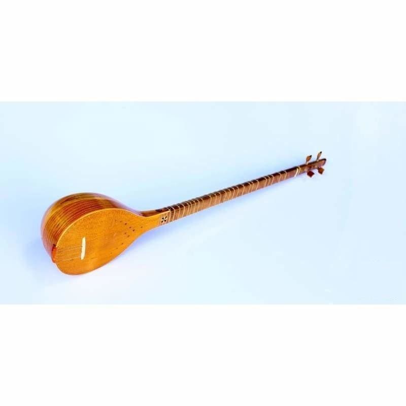Setar ZS-302 by Zolghadr concert Persian plucked instrument