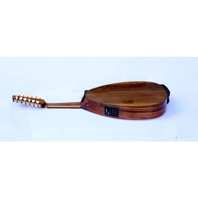 Walnut Turkish left handed electric oud OUDE 4L by Sala
