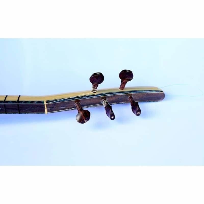 Dest baglama saz électrique long manche EQ2 avec EQ
