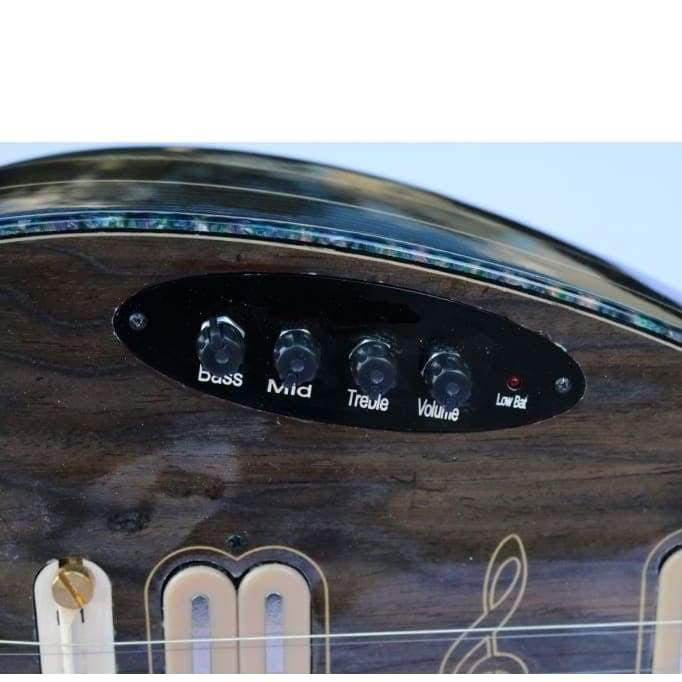 Dest baglama électrique long manche EQ2 avec système égaliseur