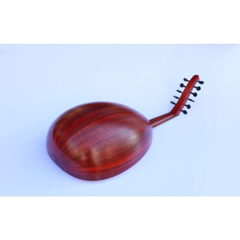 Maestro oud MOUD-5 par Mehmet Caymaz