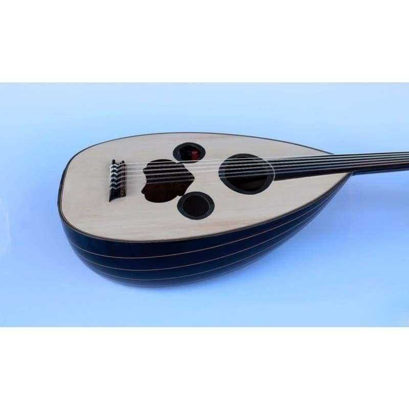 Professional Arabic electric oud AAOK-208G with Pyramid 650/11 strings
