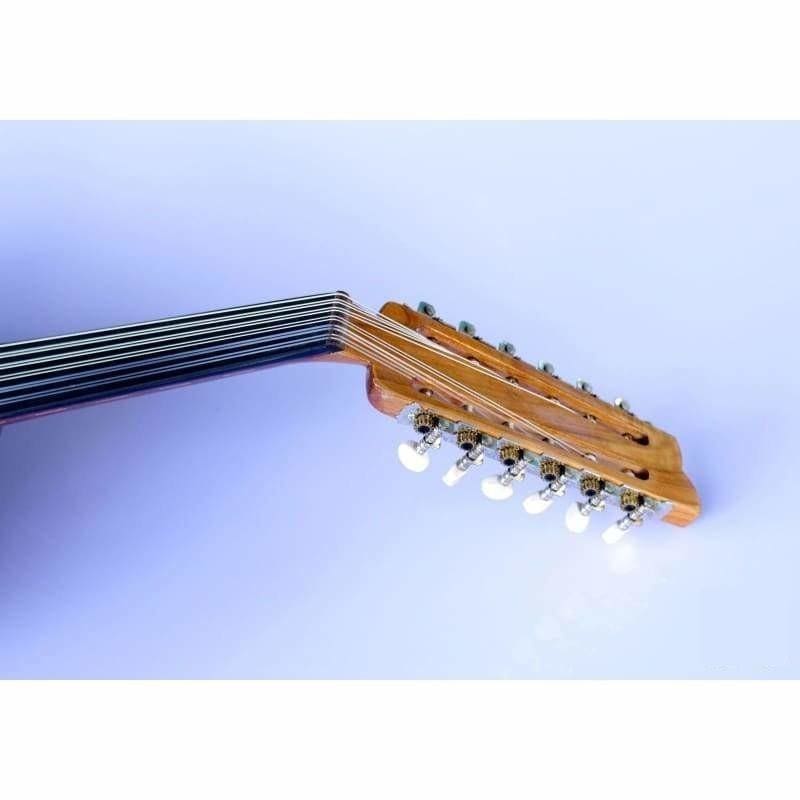 Oud arabe électrique acajou AAOK-301G par Sala