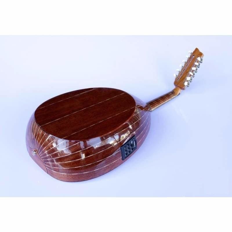 Oud arabe électrique acajou AAOK-301G par Sala