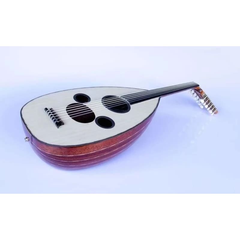 Oud arabe électrique professionnel AAOK-301G par Sala