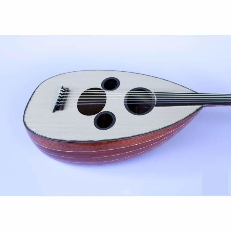 Oud arabe électrique professionnel AAOK-301G avec cordes Pyramid 650/11