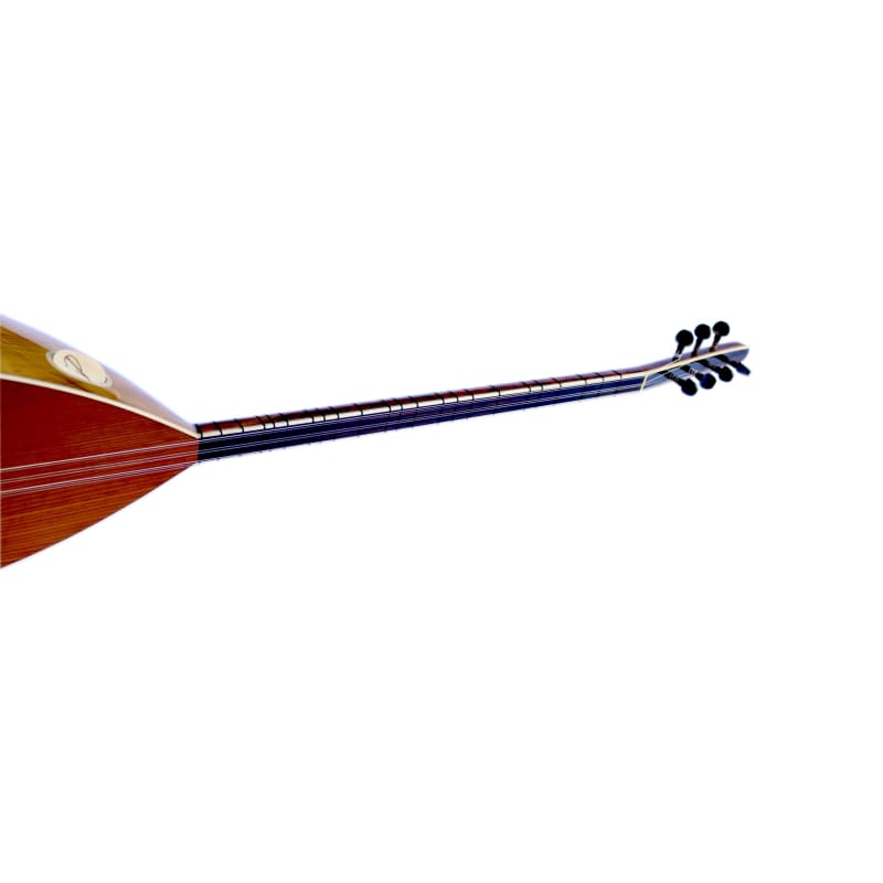 Baglama à long manche en mûrier sculpté DST-307 professionnel par Sala