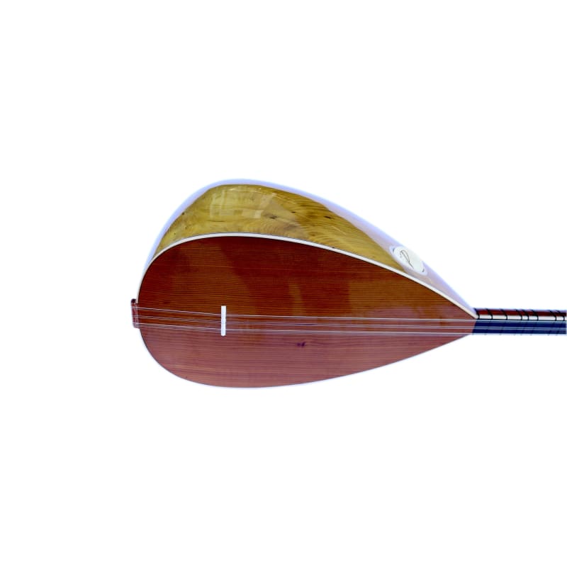 Baglama à long manche en mûrier sculpté DST-307 riche résonance