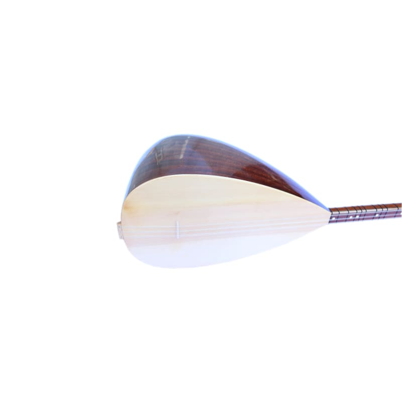 Saz à long manche HSS-302L par Sala