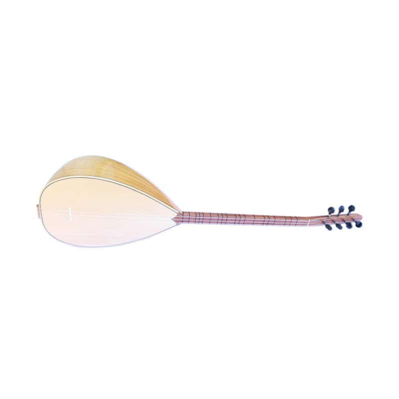 Baglama à manche court professionnelle MSS-207 par Sala