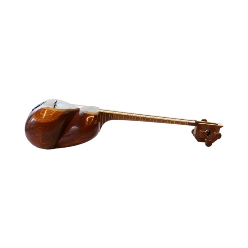 Aliyari tar persan professionnel ABT-404 instrument à cordes pincées double caisse