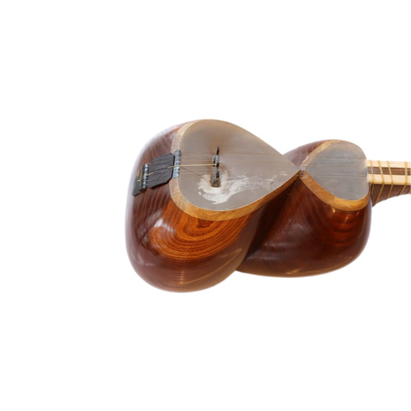 Tar persan ABT-404 de Aliyari instrument à cordes pincées traditionnel