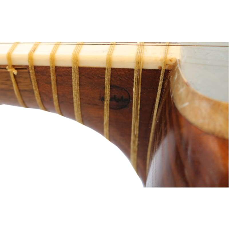 Aliyari tar ABT-404 instrument à cordes persan avec peau de chameau