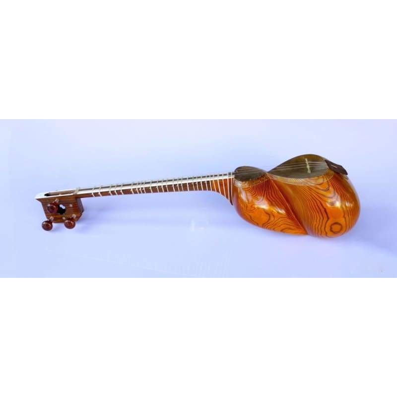 Tar AYT-307 par Molayi tar persan classique fait main
