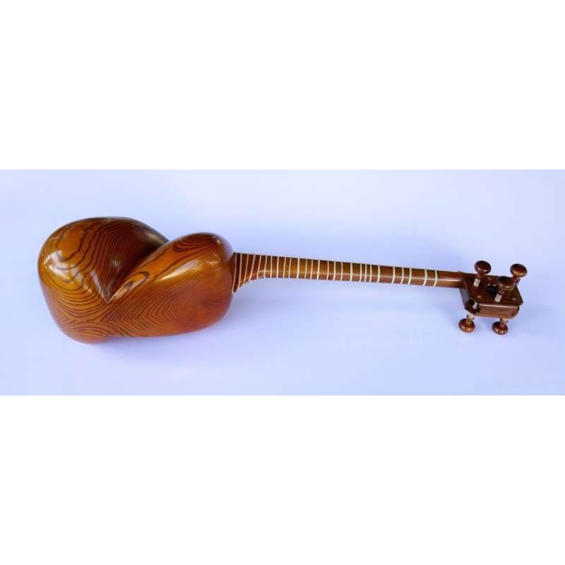 Molayi tar AYT-307 instrument persan à cordes peau de chameau
