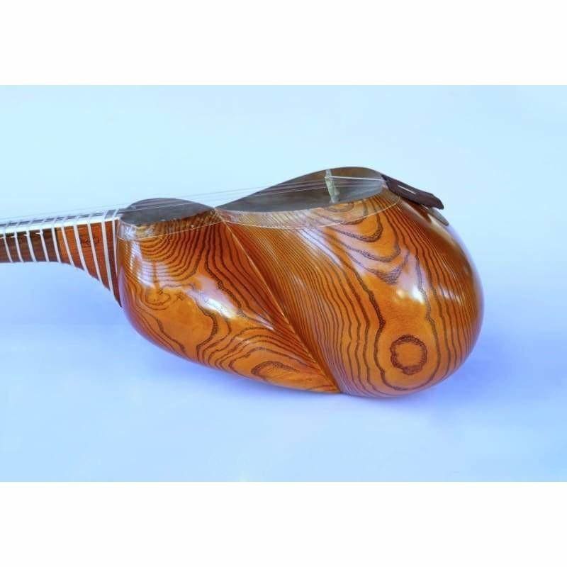 Molayi tar AYT-307 tar persan classique instrument à cordes pincées