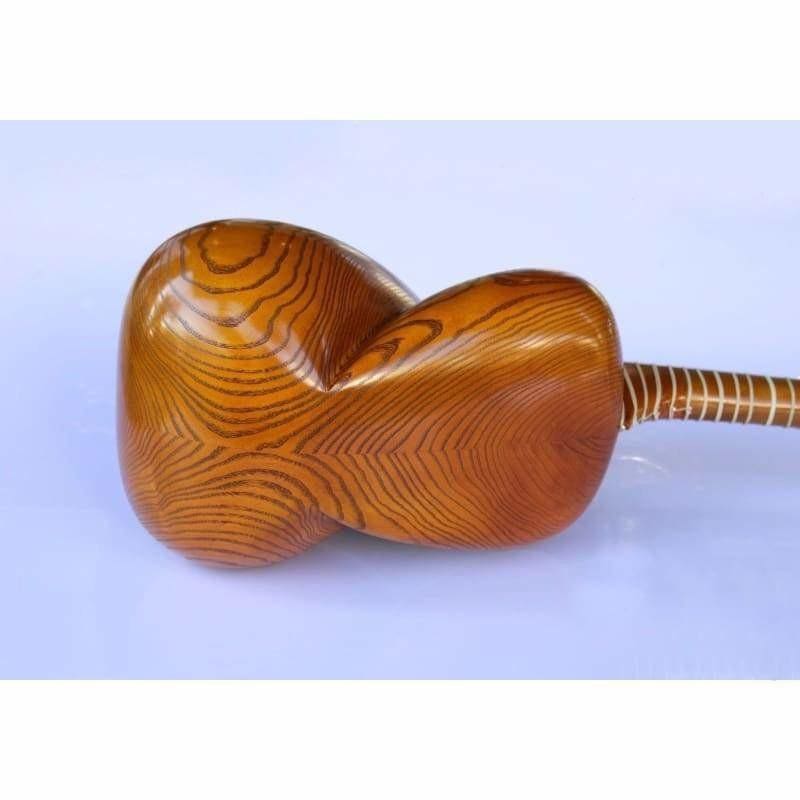 Tar persan AYT-307 par Molayi instrument à cordes pincées traditionnel