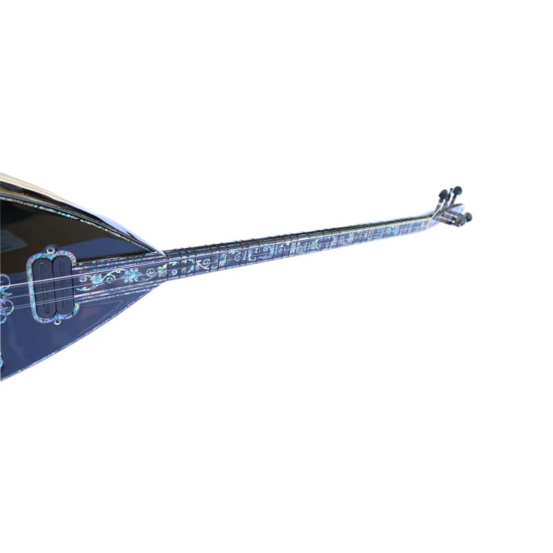 Sala Muzik baglama électrique spéciale SES-1