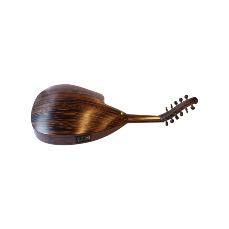Oud électrique fait main PROUD-4 par Mehmet Caymaz