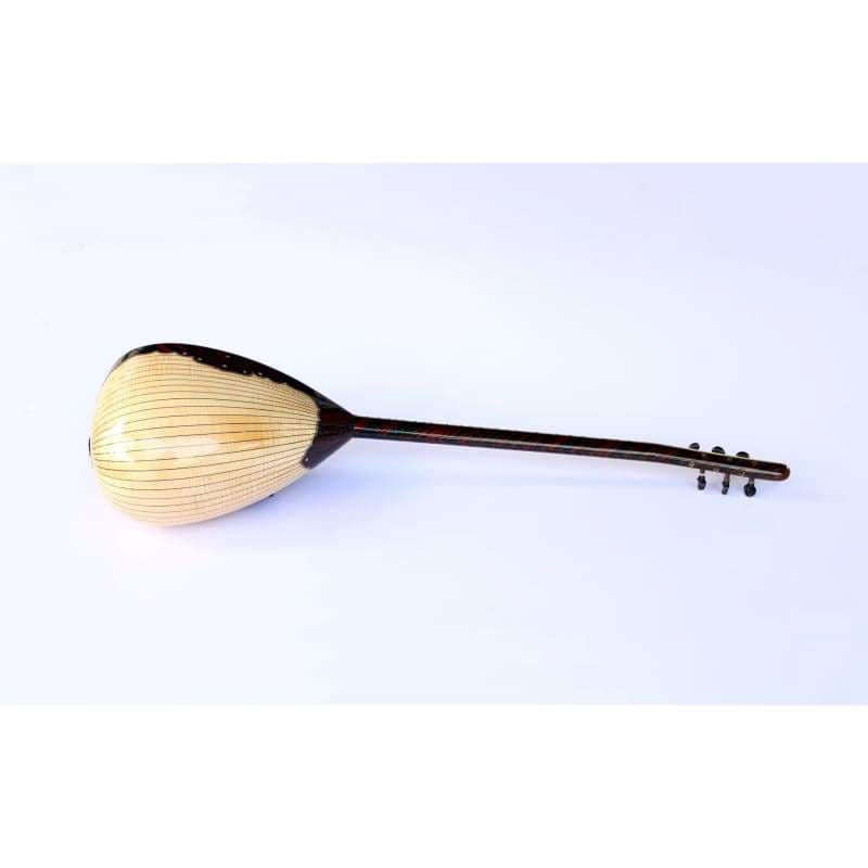 Sala baglama saz électrique spécial SES-203N