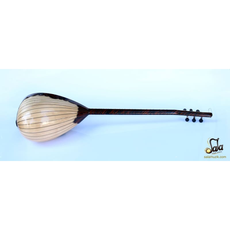 Baglama électrique à long manche SES-203B par Sala