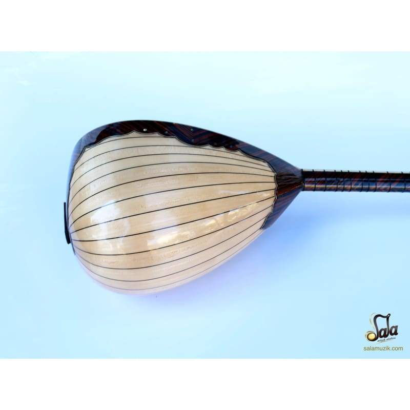 Sala Muzik baglama électrique à long manche spéciale SES-203B