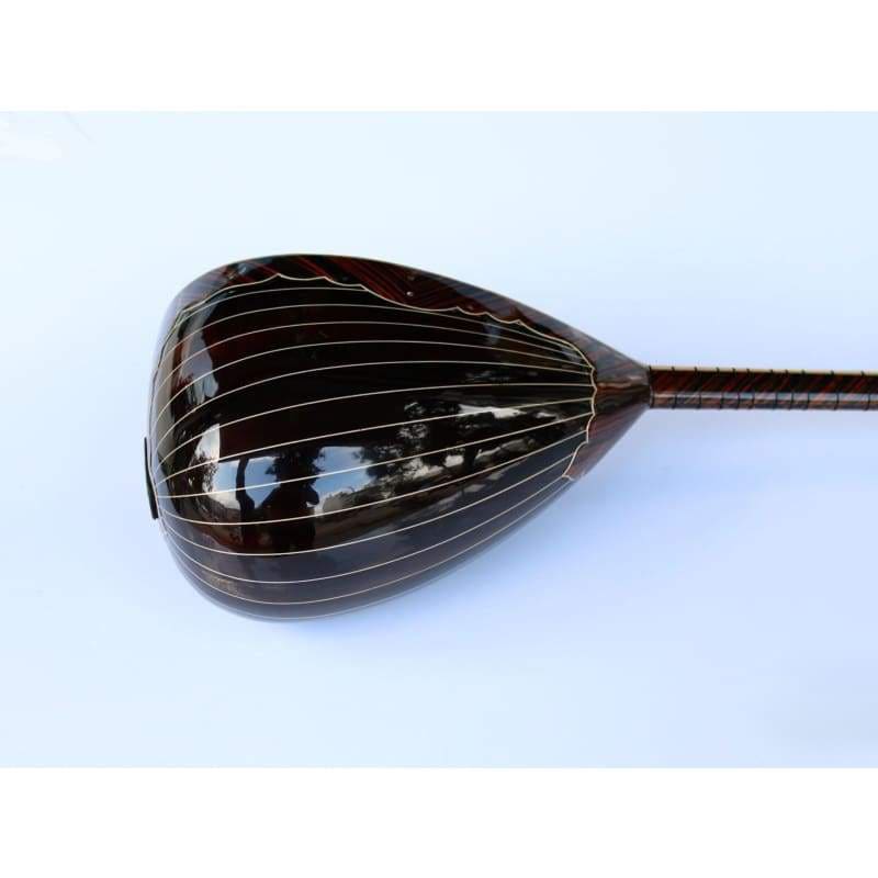 Sala saz électrique long manche spécial SES-408G